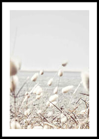 Bright dried blades of grass with sea view in gentle tones-0