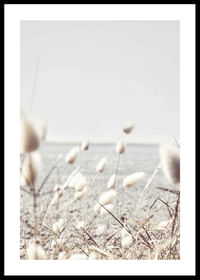 Bunny Tails-0