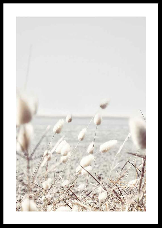 Bunny Tails-12