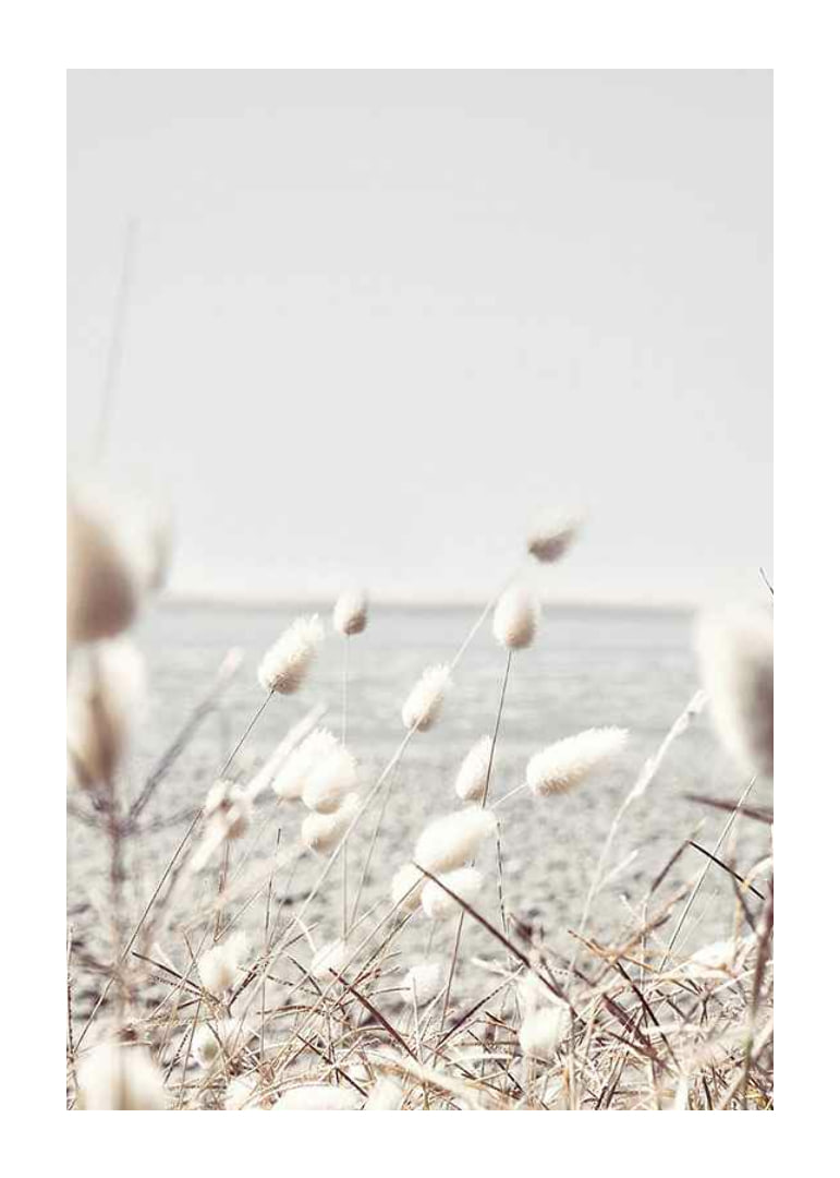 Bright dried blades of grass with sea view in gentle tones-12