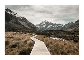 Poster Hooker Valley Track