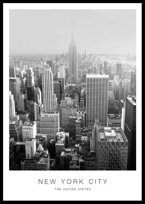 Vista in bianco e nero dei grattacieli di Manhattan con l'Empire State Building-12