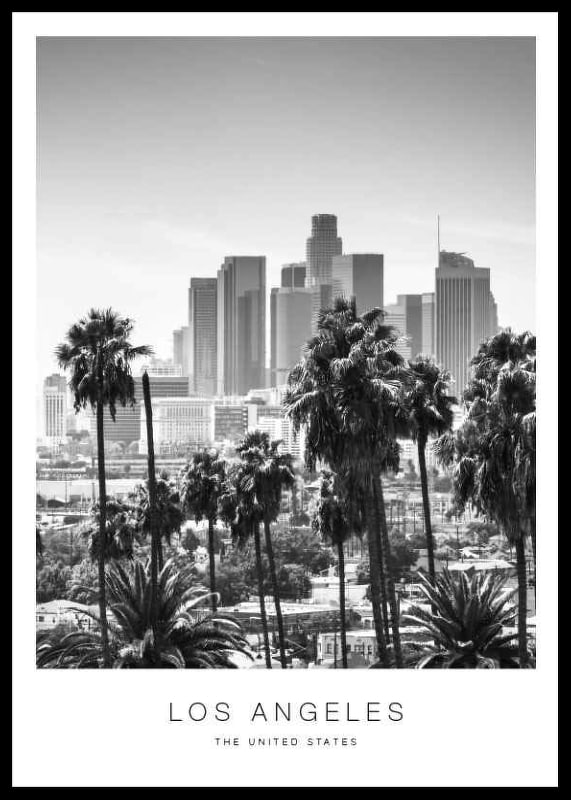Black and white view of Los Angeles skyline with palm trees in the foreground-12