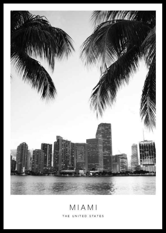 Black and white photo of Miami skyline with palm trees in the foreground-12