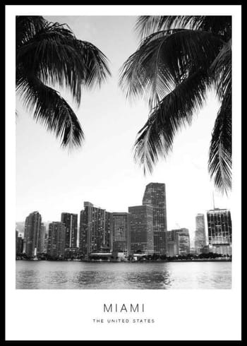 Poster Miami