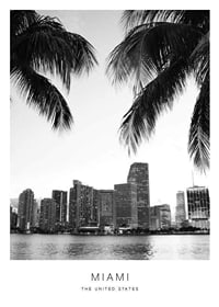 Black and white photo of Miami skyline with palm trees in the foreground-1