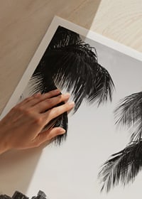 Black and white photo of Miami skyline with palm trees in the foreground-3