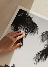 Miami-3