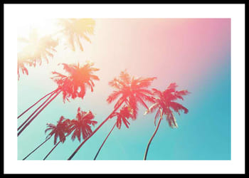 Plakat Colorful Palms