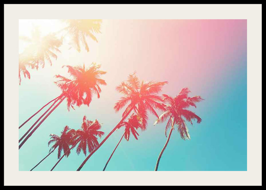 Fotografische palmbomen tegen een turquoise lucht in roze licht-12