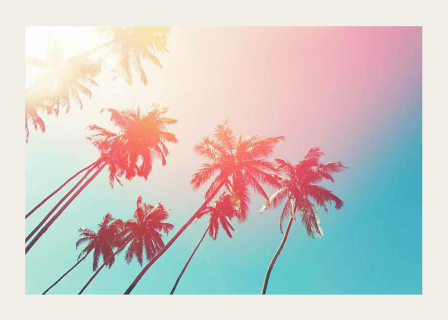 Fotografische palmbomen tegen een turquoise lucht in roze licht-12