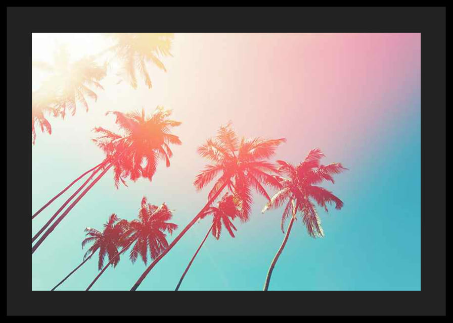 Fotografische palmbomen tegen een turquoise lucht in roze licht-12