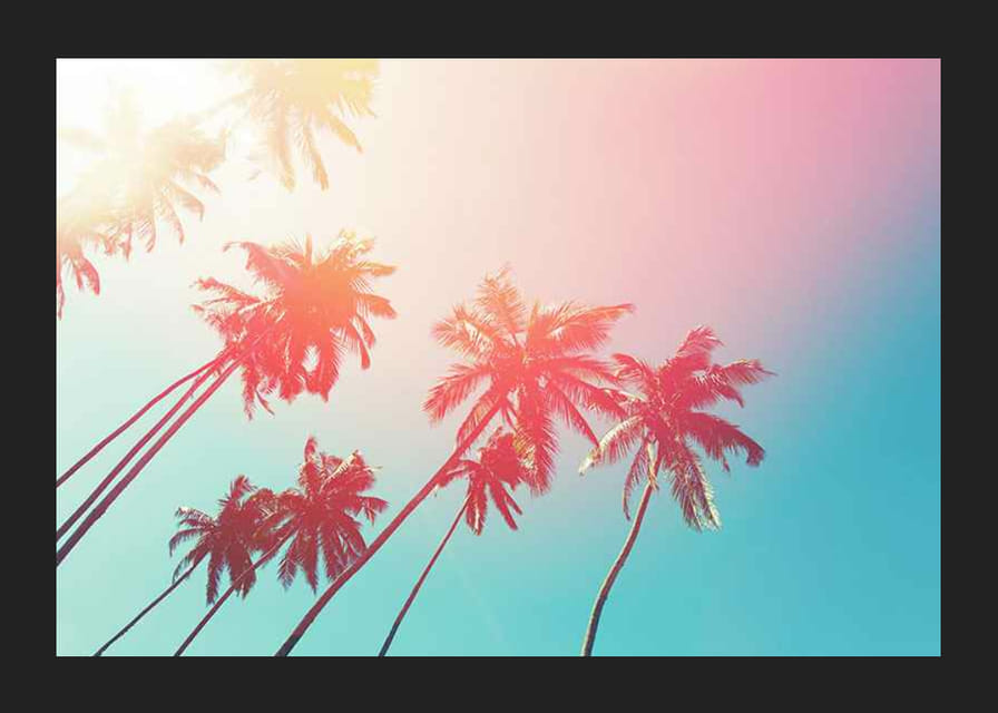 Fotografische palmbomen tegen een turquoise lucht in roze licht-12