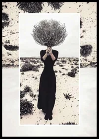Photo art of woman in black dress with bush covering her face-0