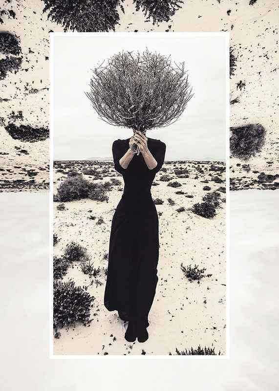 Juliste Behind The Bush