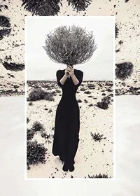 Photo art of woman in black dress with bush covering her face-1