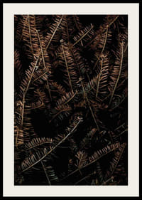 Detailný záber na hnedé suché smrekové konáre na tmavom pozadí-2