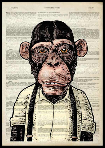 Poster The Chimpanzee 
