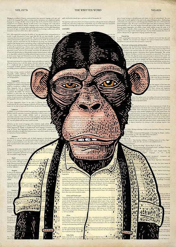 The Chimpanzee -12