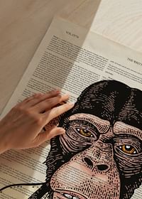 The Chimpanzee -3
