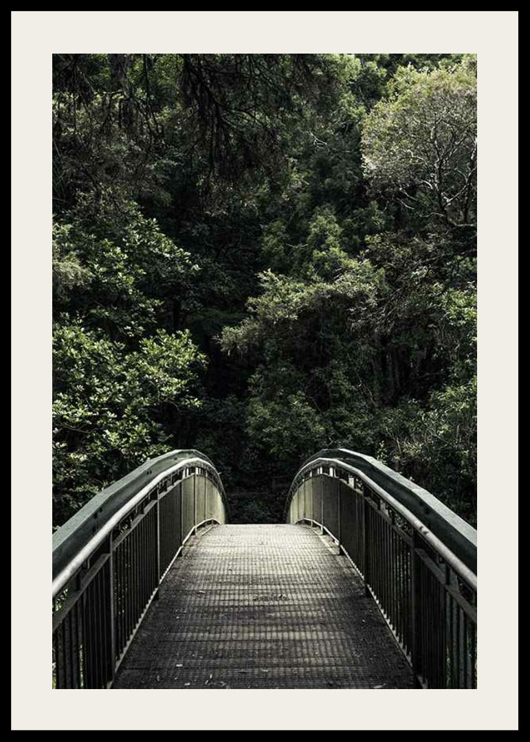 Foto einer Metallfußgängerbrücke, die in einen dichten grünen Wald führt-12