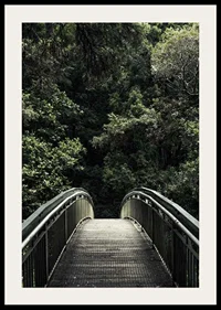 Photograph of metal footbridge leading into dense green forest-2