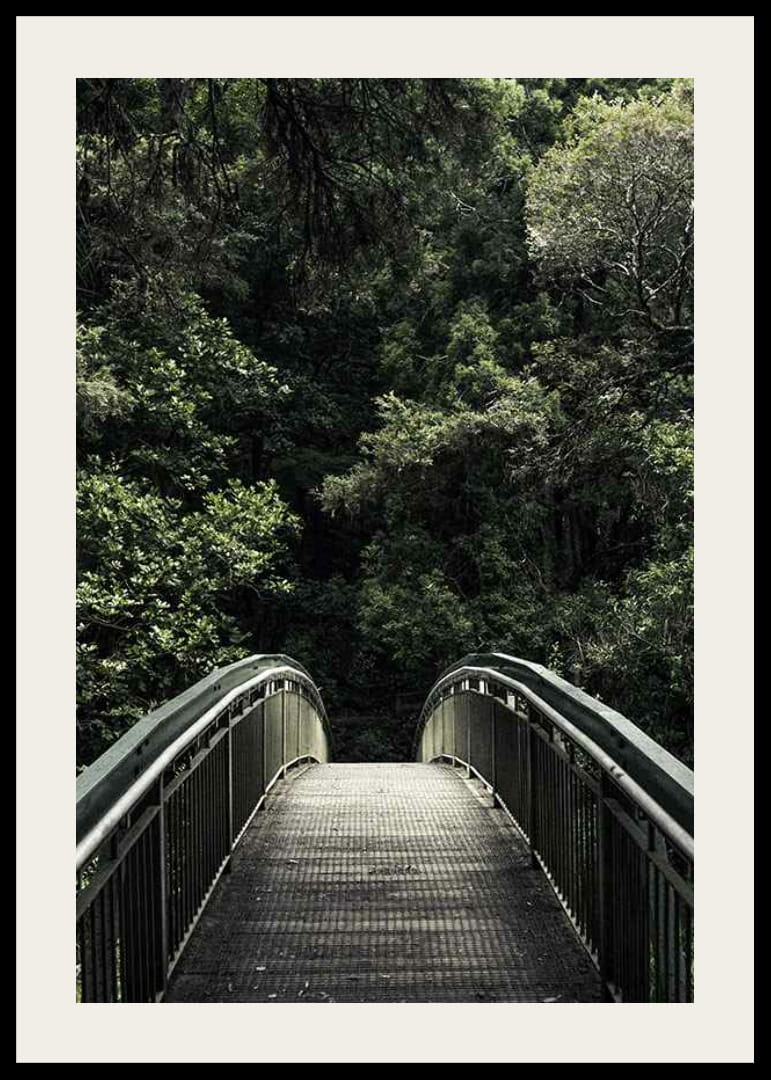 Fénykép egy sűrű zöld erdőbe vezető fém gyaloghídról-12