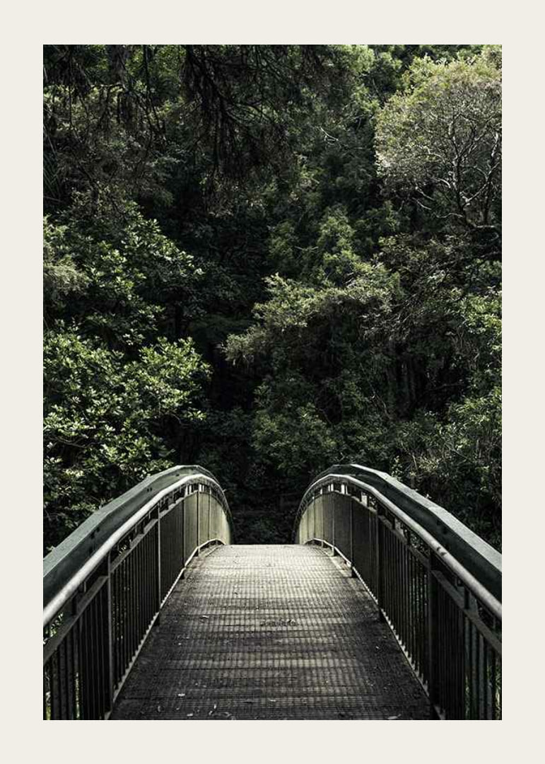 Foto einer Metallfußgängerbrücke, die in einen dichten grünen Wald führt-12