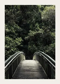 Photograph of metal footbridge leading into dense green forest-3