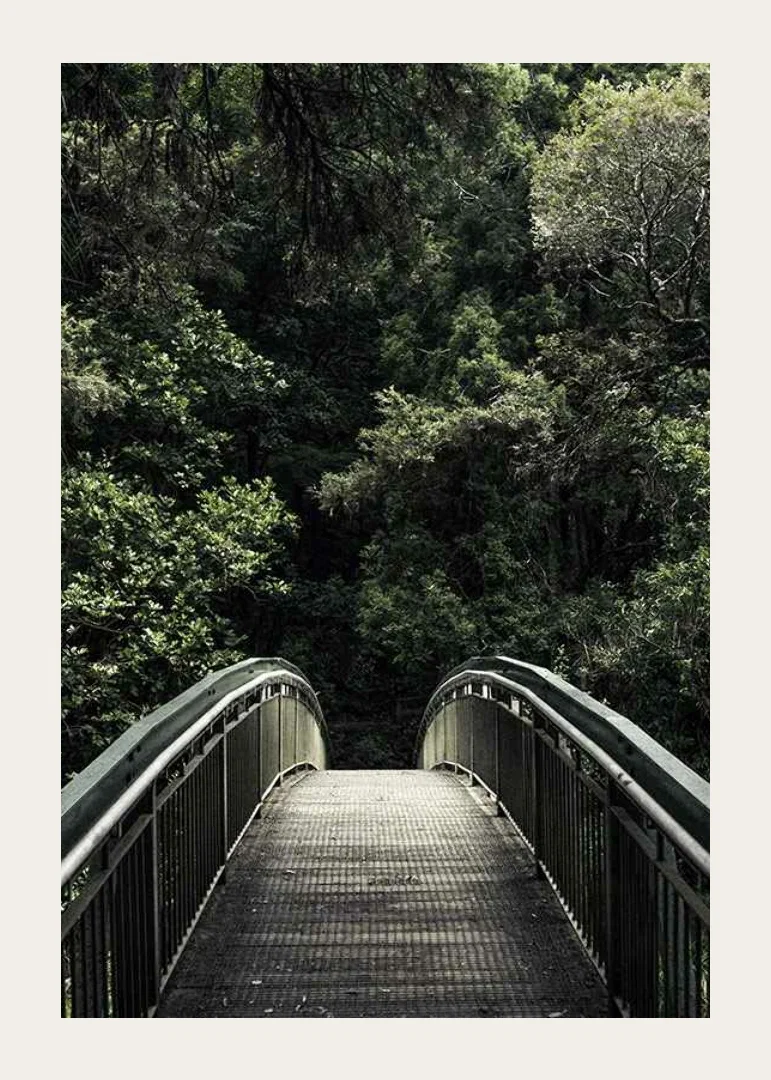 Photograph of metal footbridge leading into dense green forest-12