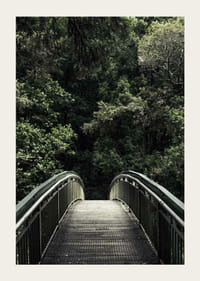 Fénykép egy sűrű zöld erdőbe vezető fém gyaloghídról-3