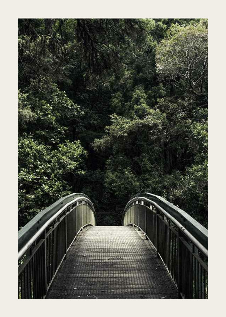 Fénykép egy sűrű zöld erdőbe vezető fém gyaloghídról-12