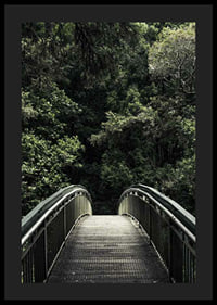Foto einer Metallfußgängerbrücke, die in einen dichten grünen Wald führt-4