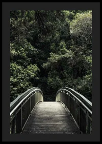 Photograph of metal footbridge leading into dense green forest-4
