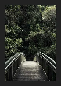 Photograph of metal footbridge leading into dense green forest-5