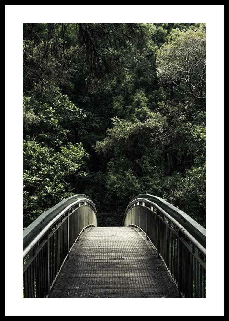 Photograph of metal footbridge leading into dense green forest-12