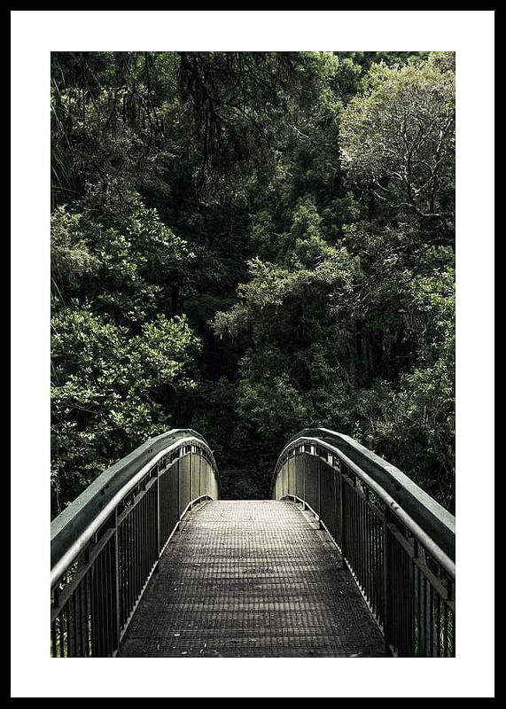 Forest Crossing-12
