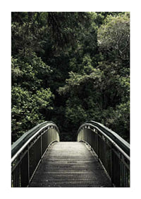Foto einer Metallfußgängerbrücke, die in einen dichten grünen Wald führt-1