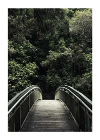 Photograph of metal footbridge leading into dense green forest-1