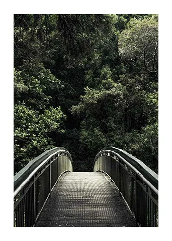 Poster Forest Crossing