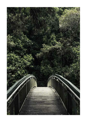 Plagát Forest Crossing