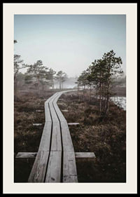 Photograph of wooden bridge in foggy swamp landscape outside Riga-2