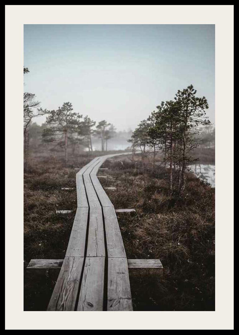 Photograph of wooden bridge in foggy swamp landscape outside Riga-12