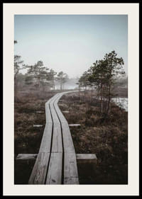 Fotografi av trebro i tåkete sumplandskap utenfor Riga-2