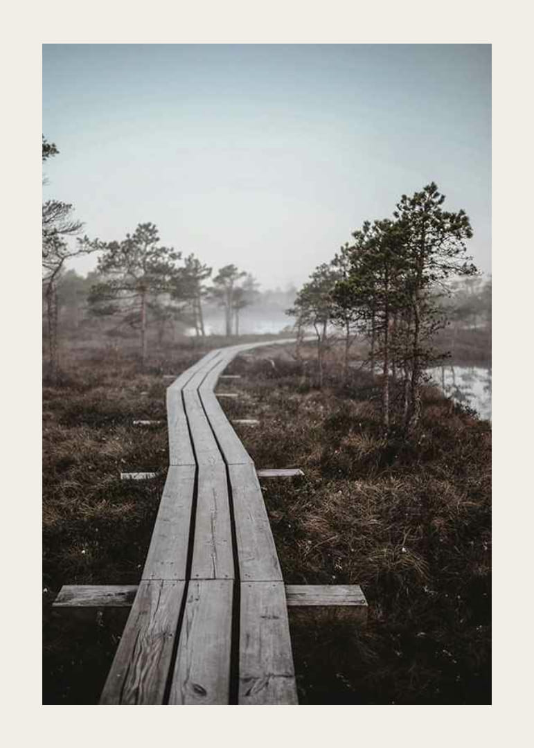 Fotografi av trebro i tåkete sumplandskap utenfor Riga-12