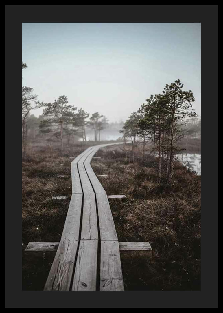 Fotografi av trebro i tåkete sumplandskap utenfor Riga-12