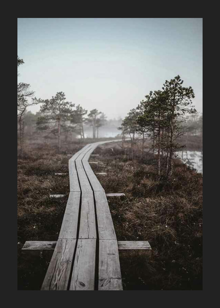 Photograph of wooden bridge in foggy swamp landscape outside Riga-12