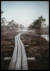 Photograph of wooden bridge in foggy swamp landscape outside Riga-6