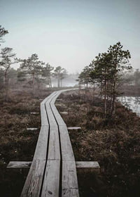 Photograph of wooden bridge in foggy swamp landscape outside Riga-7