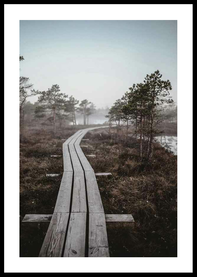 Photograph of wooden bridge in foggy swamp landscape outside Riga-12